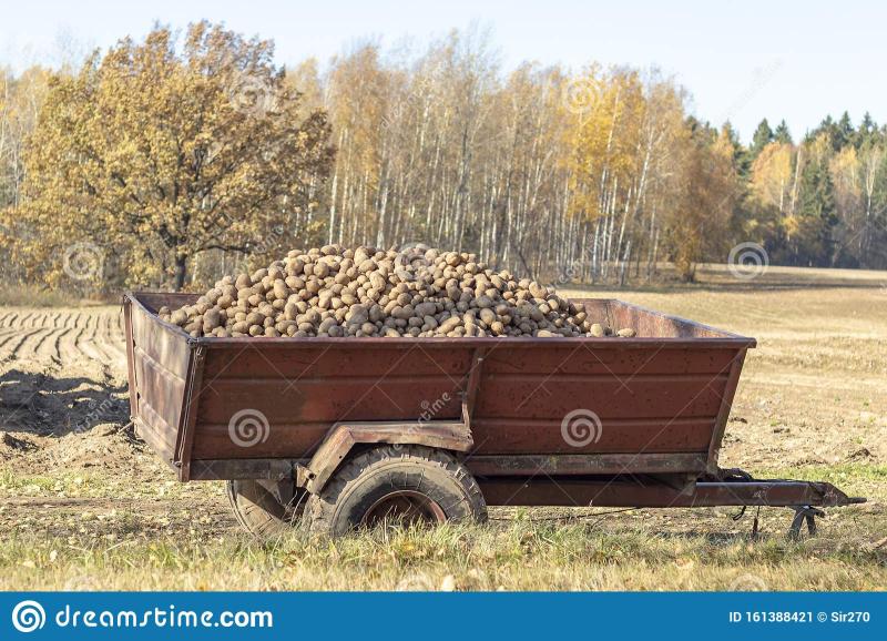 Name:  daylight-tractor-trailer-full-potatoes-eco-product-161388421.jpg
Views: 537
Size:  108.1 KB