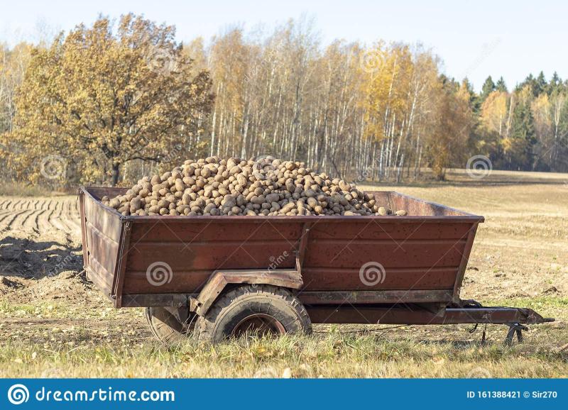Name:  daylight-tractor-trailer-full-potatoes-eco-product-161388421.jpg
Views: 944
Size:  108.1 KB