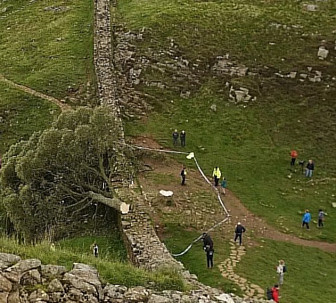 Name:  SycamoreGap_Now2.jpg
Views: 590
Size:  132.5 KB