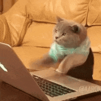 Name:  200 (5).gif
Views: 7041
Size:  207.3 KB
