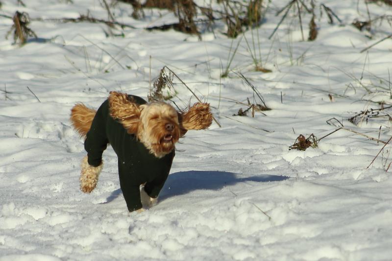 Name:  IMG_0178_Crop.jpg
Views: 2701
Size:  58.4 KB
