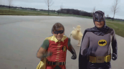Name:  Batman-and-Robin-Running-Away-From-****-15.gif
Views: 9307
Size:  847.9 KB